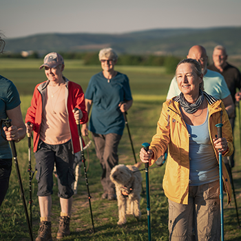 People hiking across countryside